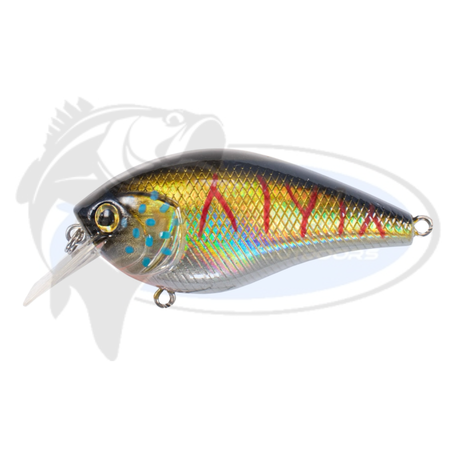 Bassman Tubby Native Minnow
