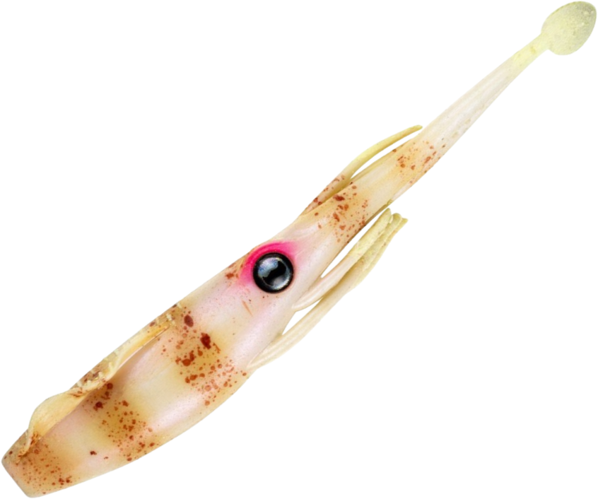 NOMAD LIVE OPS JERKSQUID