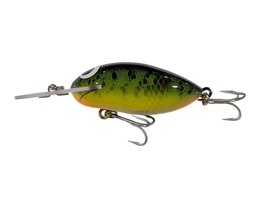 Mudeye Scout Deep