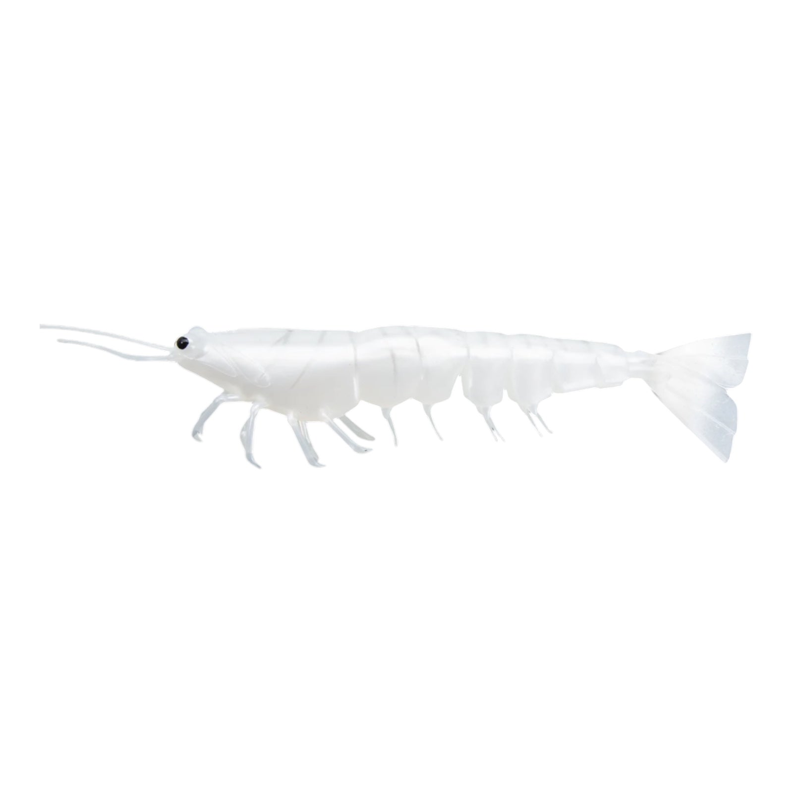 IRUKANDJI MEGAPRAWN 130