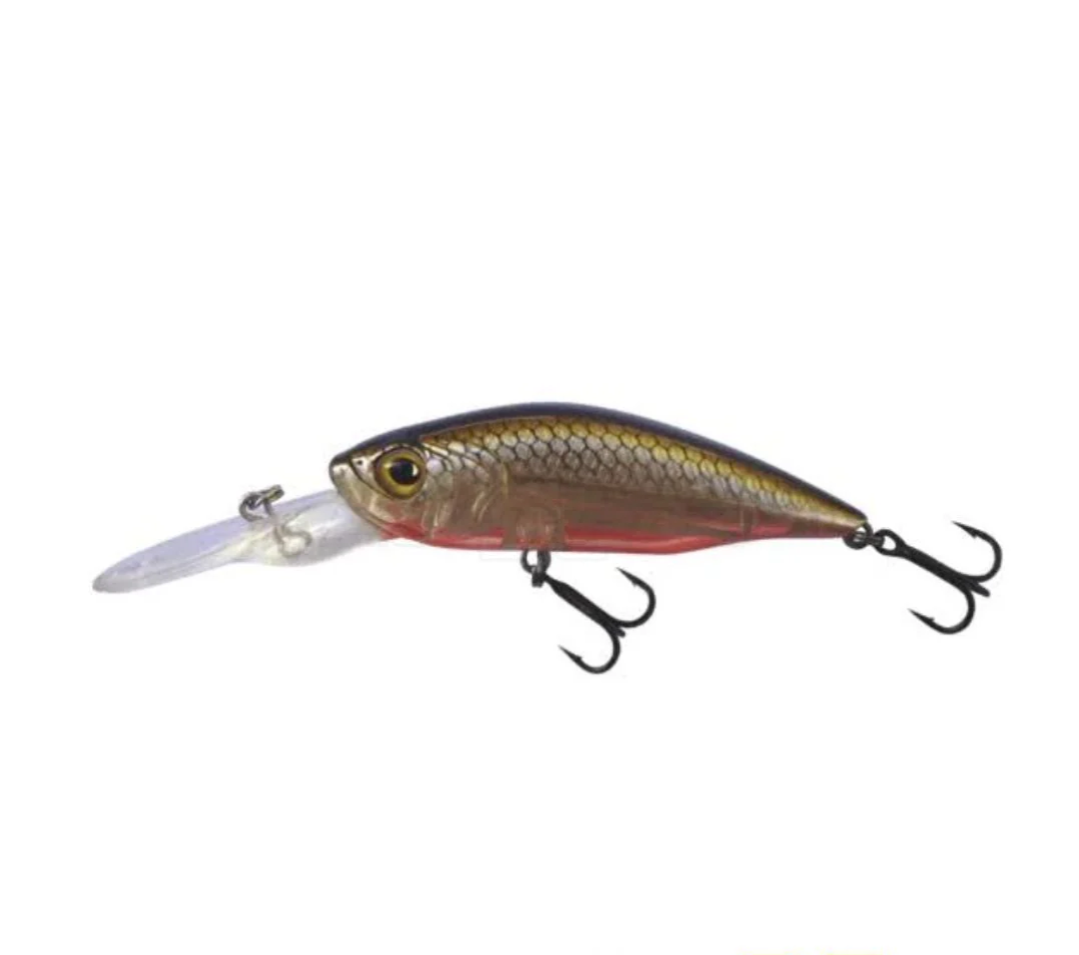 Profishent Wren 60Sp