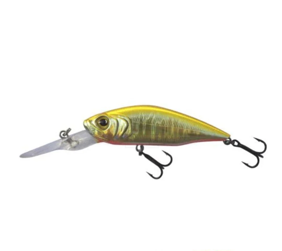 Profishent Wren 60Sp