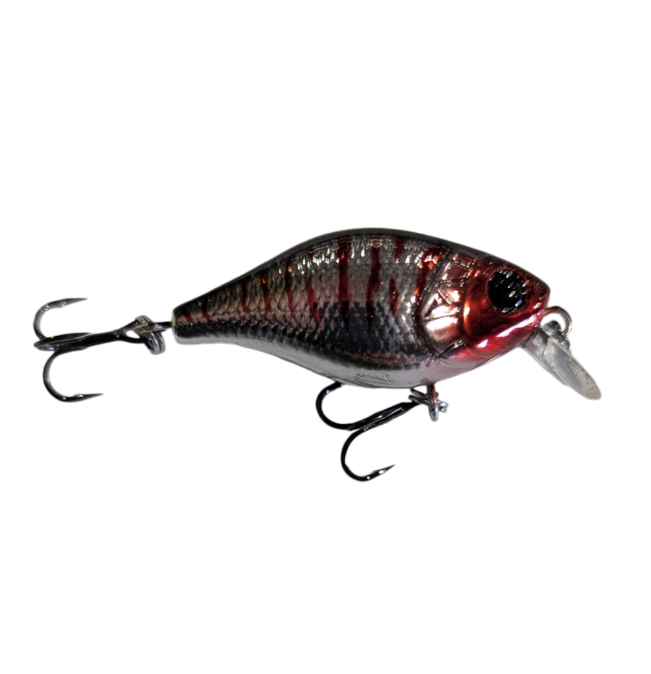 Profishent Cojack