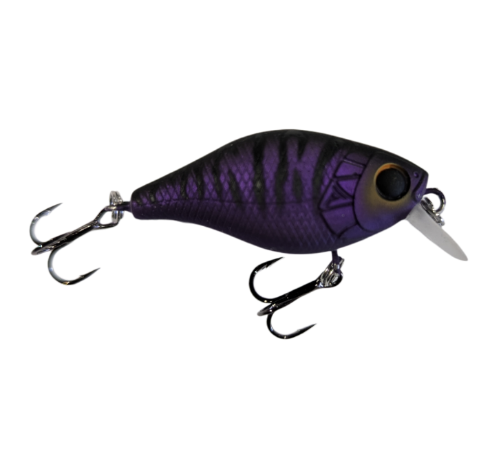 Profishent Cojack