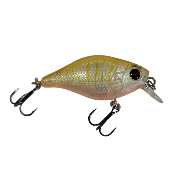 Profishent Cojack