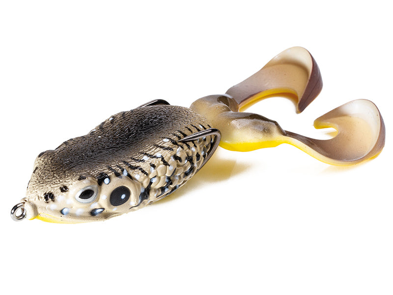 MOLIX SUPERNATO FROG