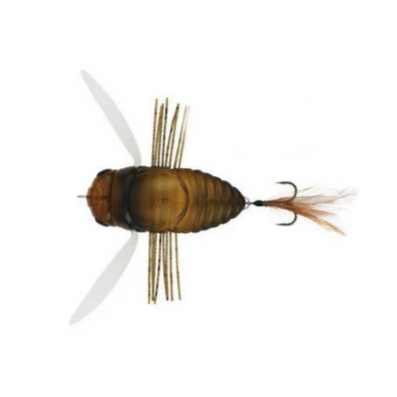 REALIS SHINMUSHI BEETLE