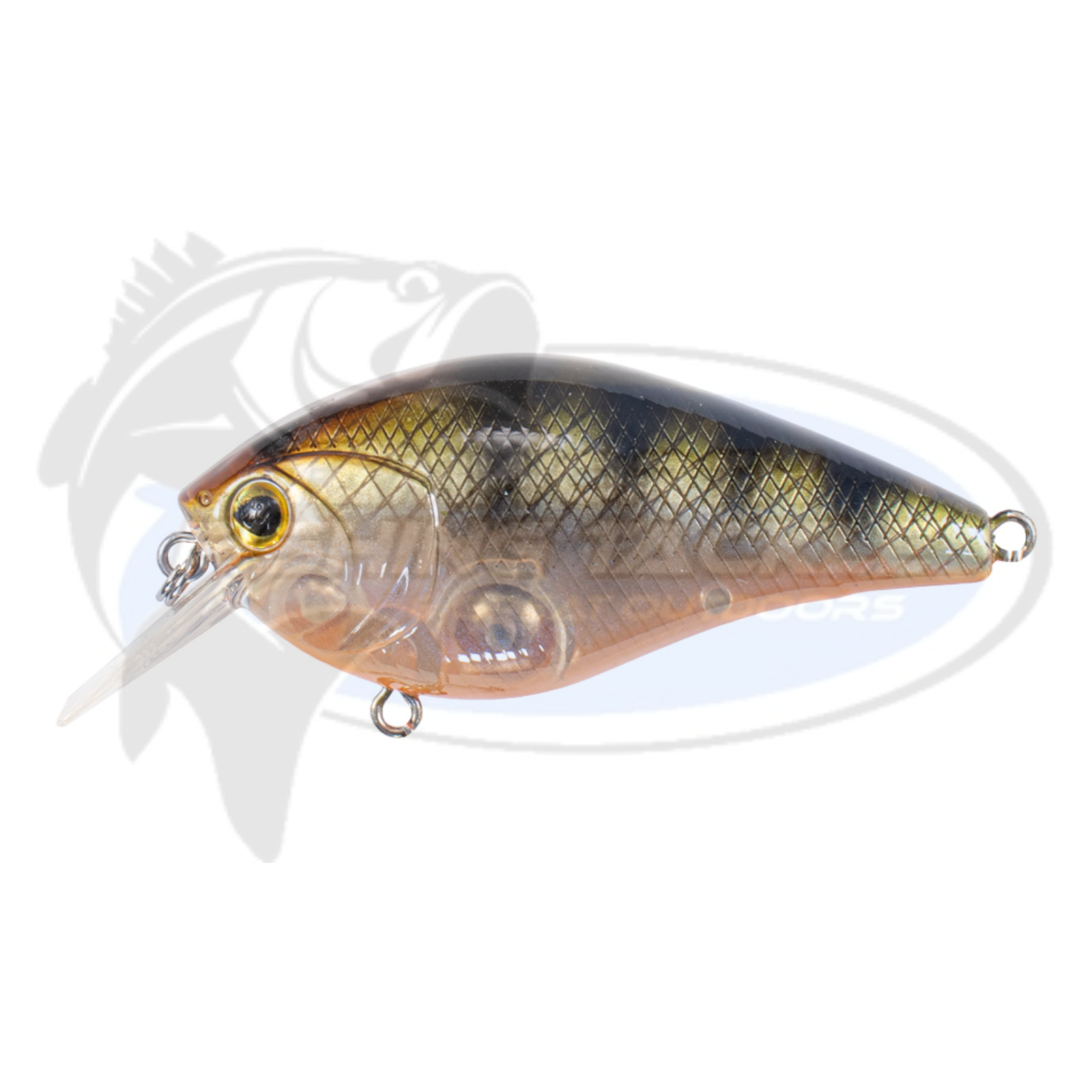 Bassman Tubby Native Minnow