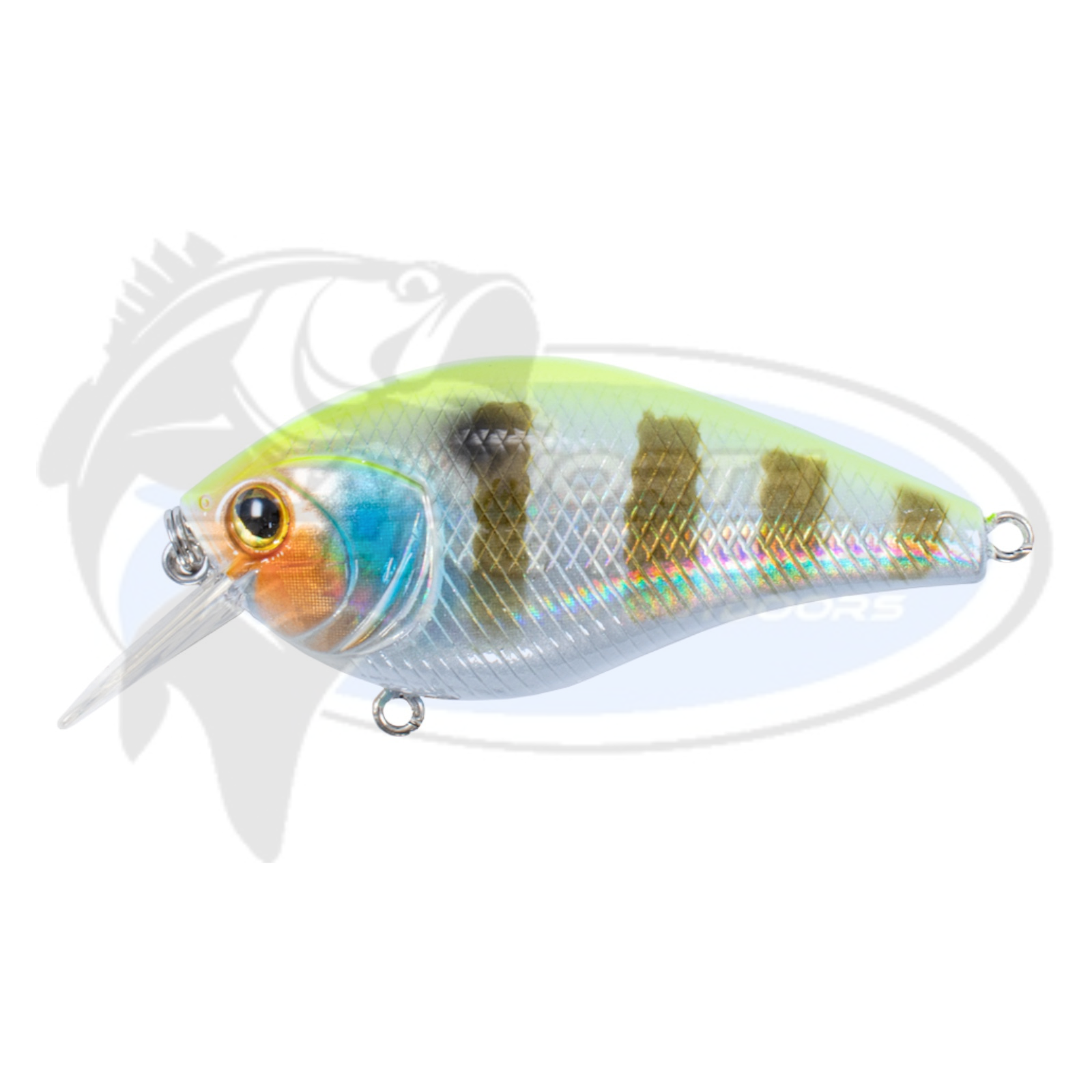 Bassman Tubby Native Minnow