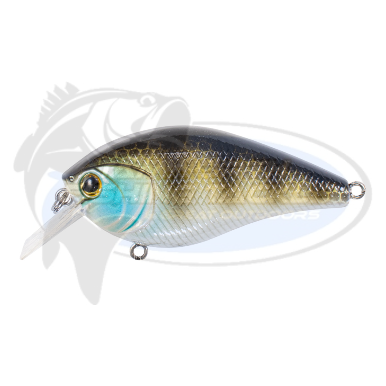 Bassman Tubby Native Minnow