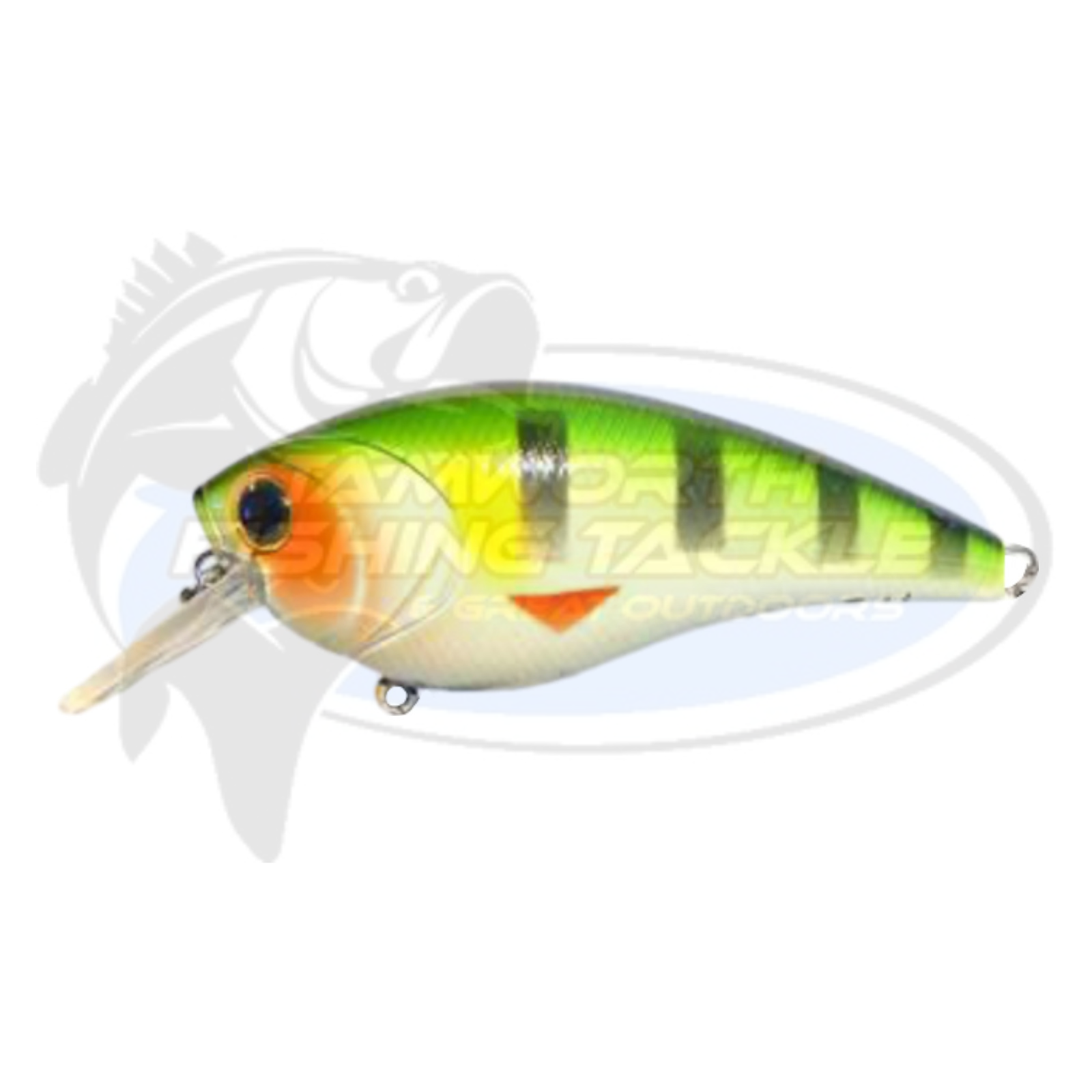 Bassman Tubby Native Minnow