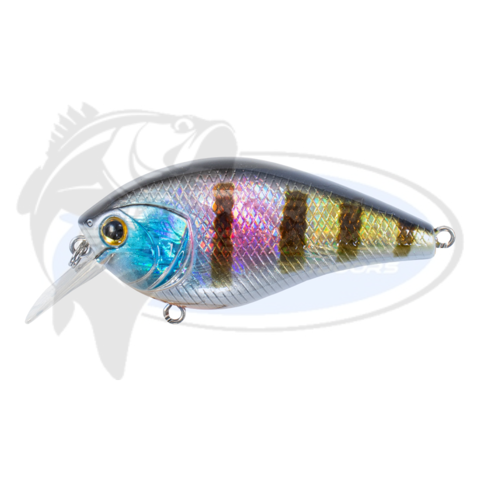 Bassman Tubby Native Minnow