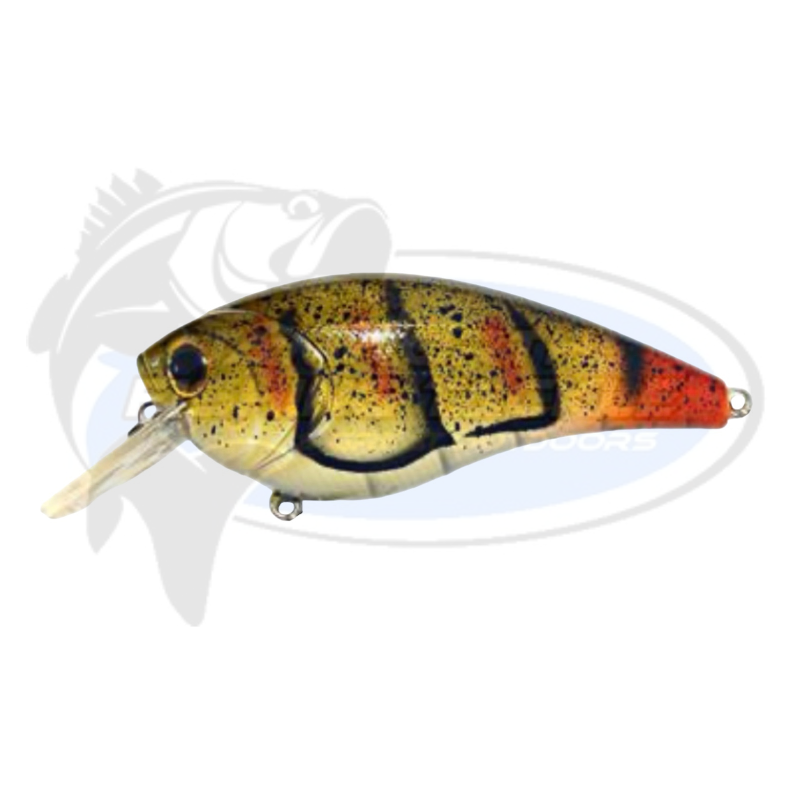 Bassman Tubby Native Minnow