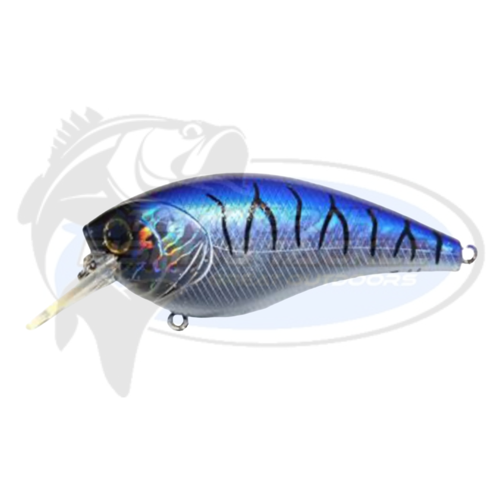 Bassman Tubby Native Minnow