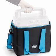 COMPANION ROVER 100 CARRY BAG