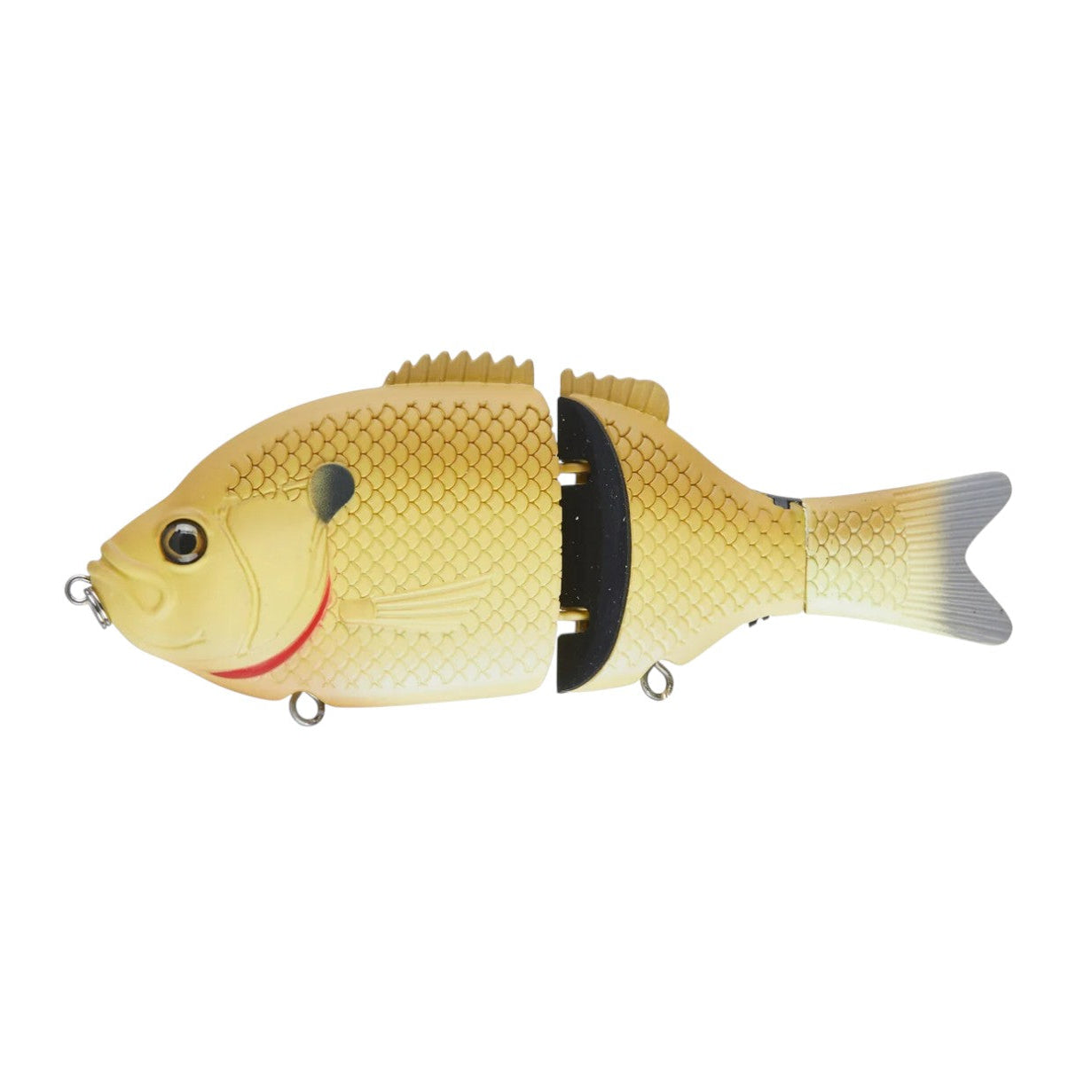 BAITSANITY EXPLORER GILL