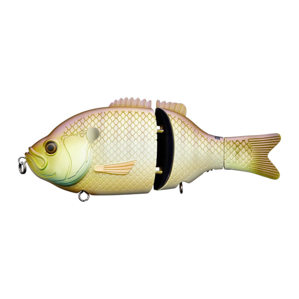 BAITSANITY EXPLORER GILL