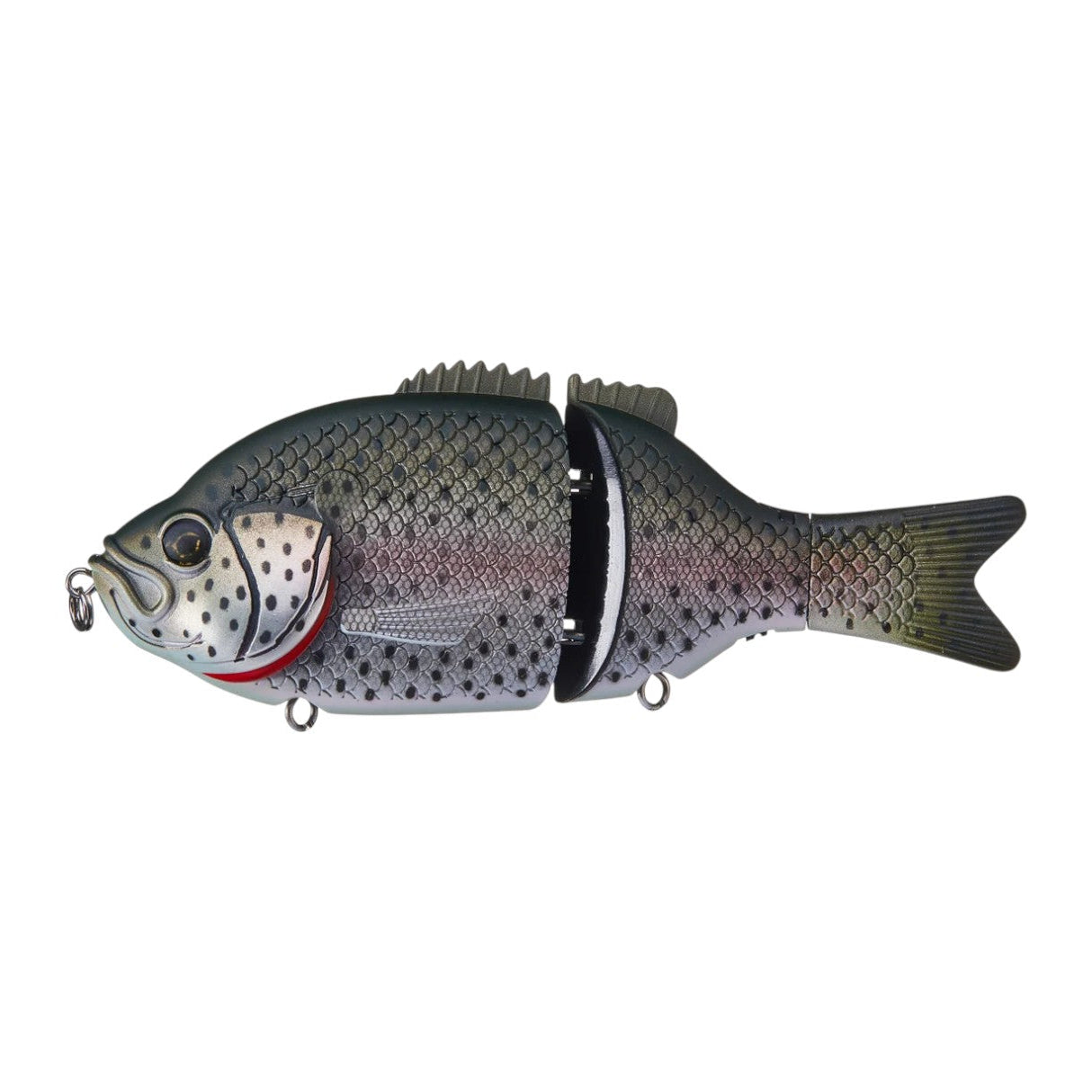 BAITSANITY EXPLORER GILL