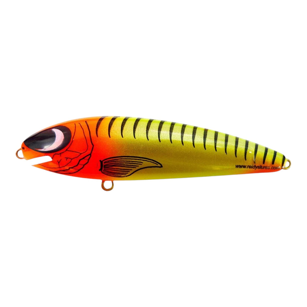 Reidys Taipan