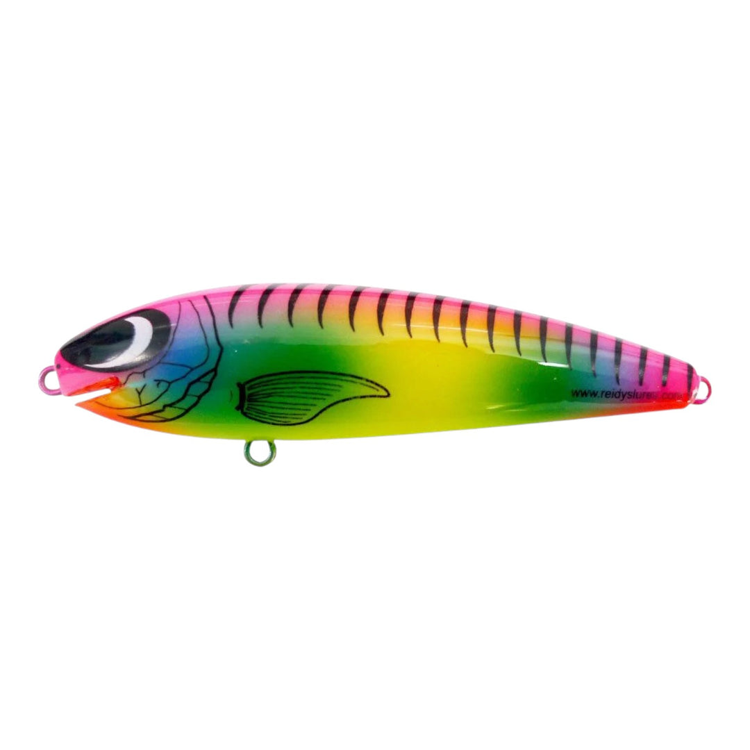 Reidys Taipan