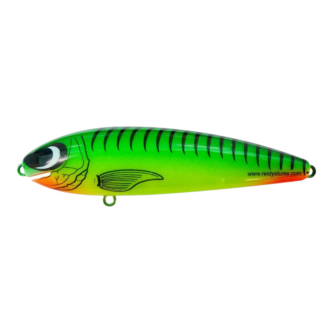 Reidys Taipan