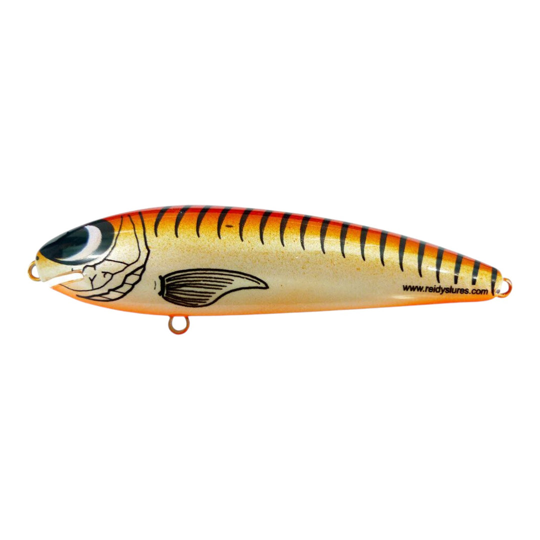 Reidys Taipan