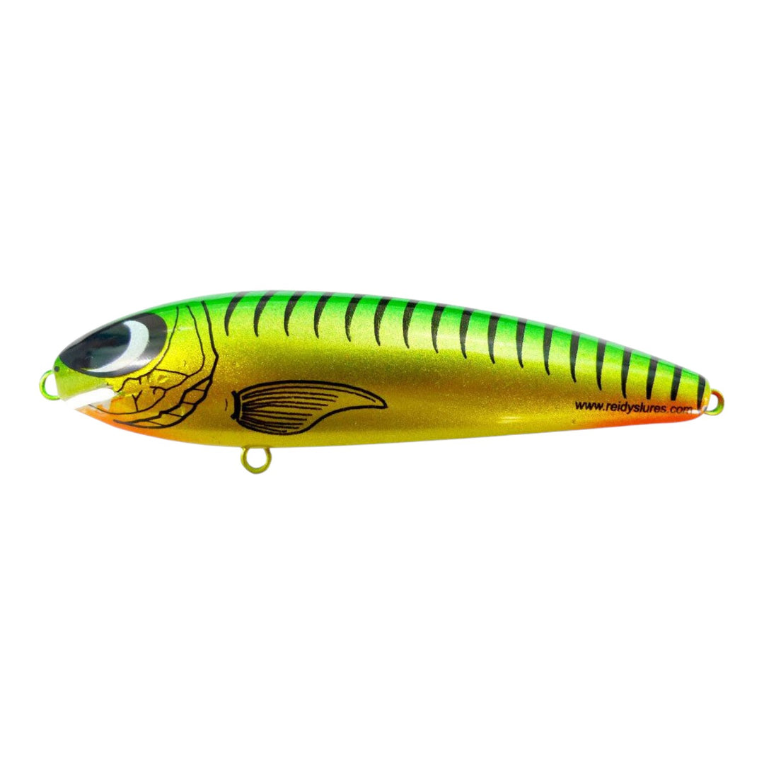 Reidys Taipan
