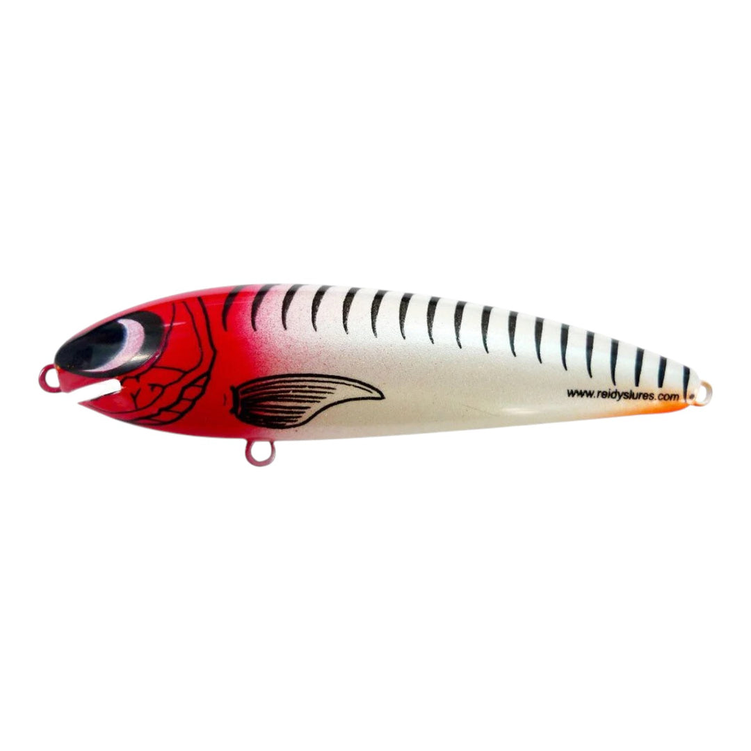 Reidys Taipan