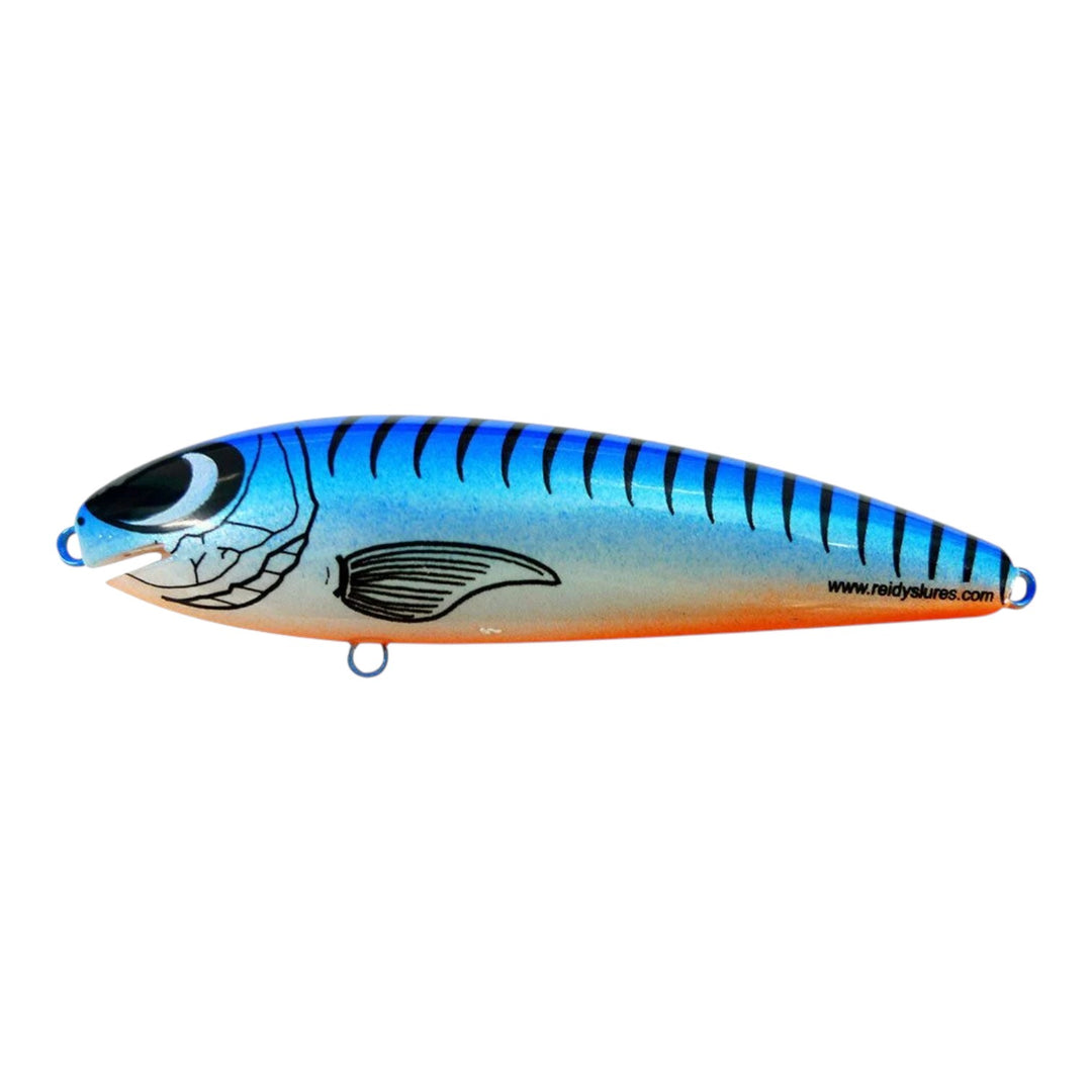 Reidys Taipan