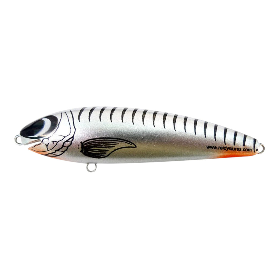 Reidys Taipan