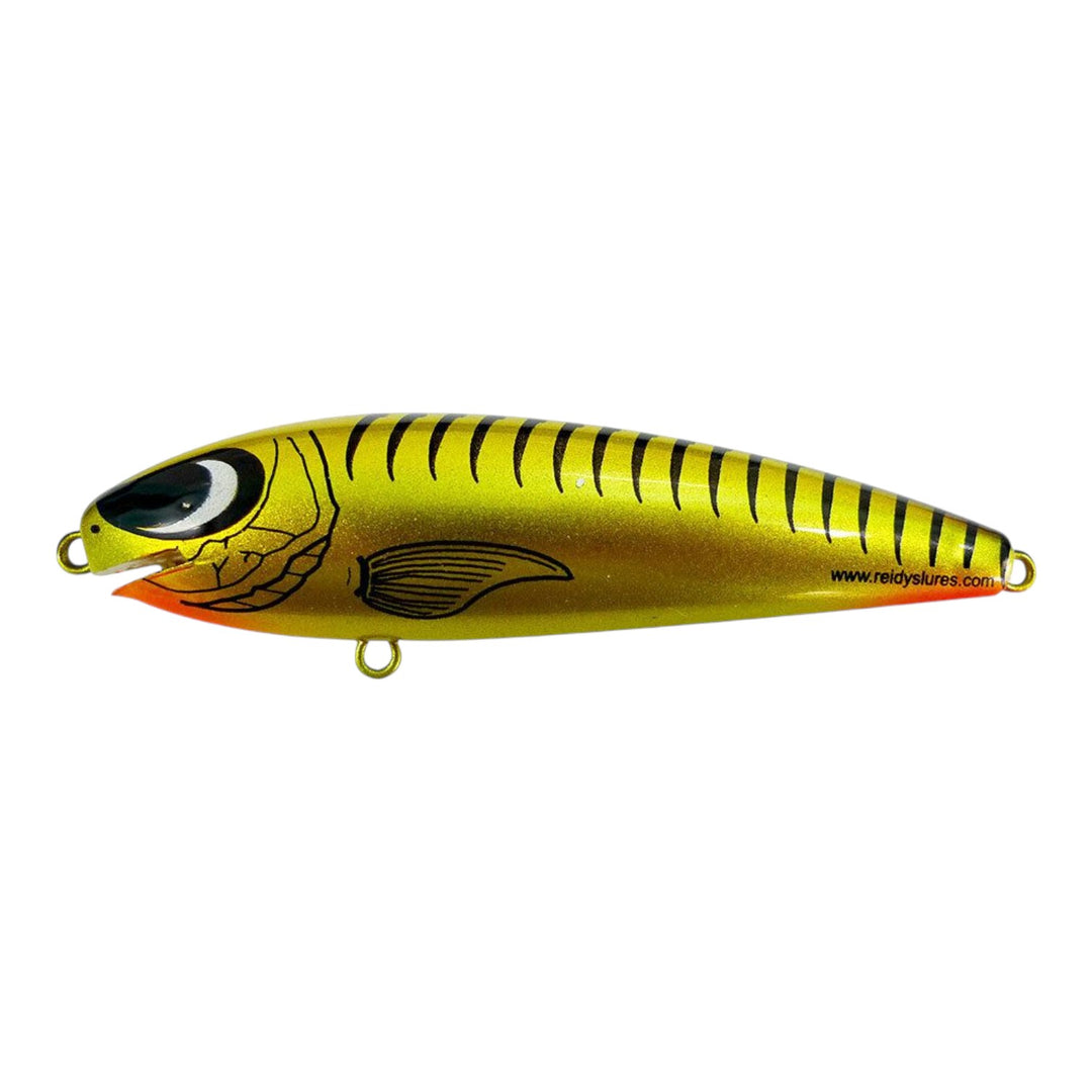 Reidys Taipan